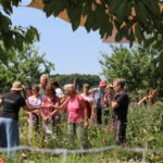 Eine Besuchergruppe lässt sich von Kräuterpädagogin Nadine Köhler im Bauerngarten verschiedene Nutzkräuter und deren Verwendung erklären.