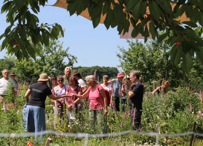 Eine Besuchergruppe lässt sich von Kräuterpädagogin Nadine Köhler im Bauerngarten verschiedene Nutzkräuter und deren Verwendung erklären.