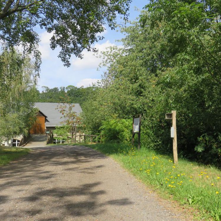 lpv-Nistkastenlehrpfad_Aufgang_Tenne
